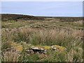 NB4352 : Shieling hut, Àirighean Molagro, Isle of Lewis by Claire Pegrum