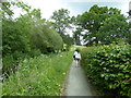 Walking the towpath of the Montgomery Canal near Garthmyl