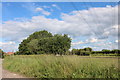 Field by the A41 near Quarrendon