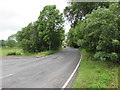 Tree-lined part of the A485 in Cwmann, Carmarthenshire