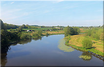 SP0444 : River Avon near Evesham by Des Blenkinsopp