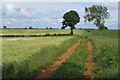 Footpath to Grimscote