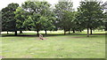 View through the trees at Bramcote Hills Park