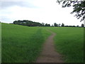 Well trodden path to Sumerhill School