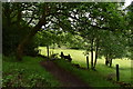 Stile and footpath .