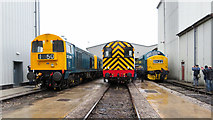 SJ7154 : Crewe Diesel Depot open day by Gareth James