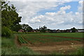 TM2955 : Potato field on the edge of Wickham Market by Simon Mortimer