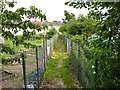 Path from Milner Road to Hamilton Road, Gillingham