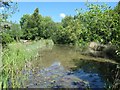 SE1638 : The larger pond, Denso Marston nature reserve by Christine Johnstone