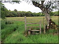 Llwybr ger Pen-bryn-rhyg / Path near Pen-bryn-rhyg