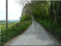 SJ1227 : Lane rising towards Penfforddwen by Richard Law