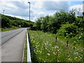 Roadside flowers, Angel Way, Aberbargoed