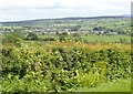 The town of Newtownhamilton from the Monaghan Road