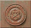 County Council of Dumfriesshire Electricity Department crest