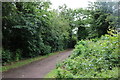 Path by Standing Way, Milton Keynes