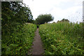 Leeds & Liverpool Canal