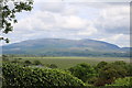 Farmland at Wigtown