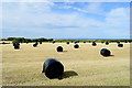 Silage bales, Artimacormick