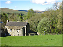 NY9038 : View of Upper Weardale southwest of Scutterhill Bank by Mike Quinn