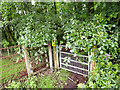 Gate on the Wye Valley Walk