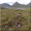 Druim an Fhuarain and the head of Loch Slapin