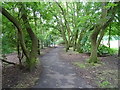 Cycle path, Eastham Country Park