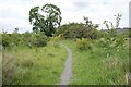 Path around Moffat & District Community Nature Reserve