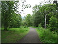 Path down from Kinnoull Hill