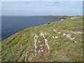 SM7523 : Headland above St Non's Bay by Philip Halling