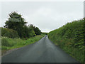 Mid Devon : Country Lane