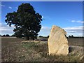 First of the Soulton Standing Stones