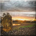 Last Standing Stone before you reach Soulton Long Barrow