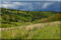 Exmoor : Moorland Scenery