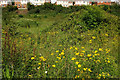 Land near Nuthatch Drive, Torquay