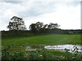 Waterlogged field off the A540