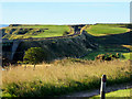 Coastal Railway near Bridge of Muchalls