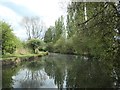 Erewash Canal between bridges 23A and 23