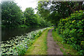 Leeds & Liverpool Canal