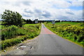 Coolaghy Road, Carnkenny