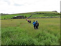 In Use - field footpath near Bradshaw