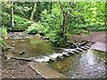 Stepping stones across Porter Brook