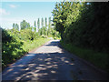 Looking towards bridge over River Wissey