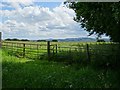 Farmland at Trimpley