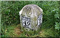 NY4959 : Benchmark on milestone beside closed road to Ruleholme Bridge by Roger Templeman