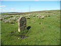 Boundary stone at Heald Top