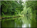 Grand Union Canal north of Knowle near Solihull