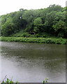 SK5374 : Creswell Crags: across the lake to Mother Grundy's Parlour by John Sutton
