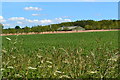 Crop field and poultry sheds near Charity Down Farm