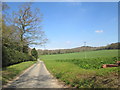 Garden  Lane  north  of  Letheringsett