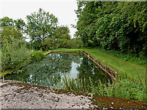 SP1876 : Sidepond by Knowle Top Lock near Solihull by Roger  D Kidd